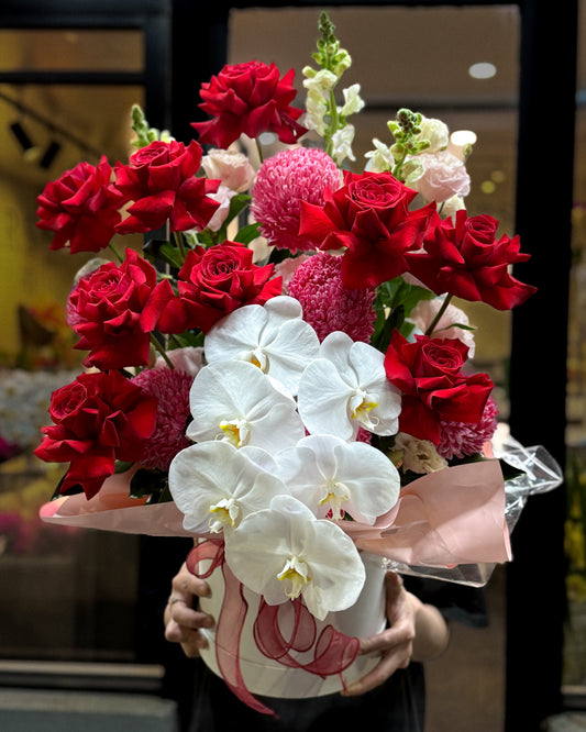 Scarlet Orchid Grandeur