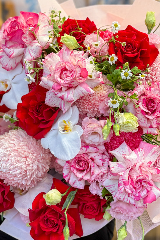 Crimson & Pink Passion