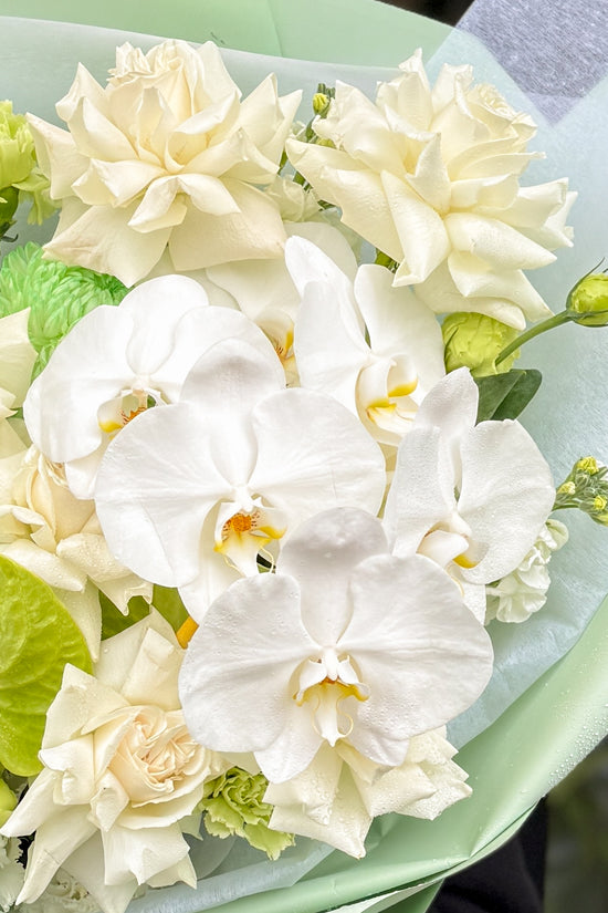 Jade Orchid Serenity