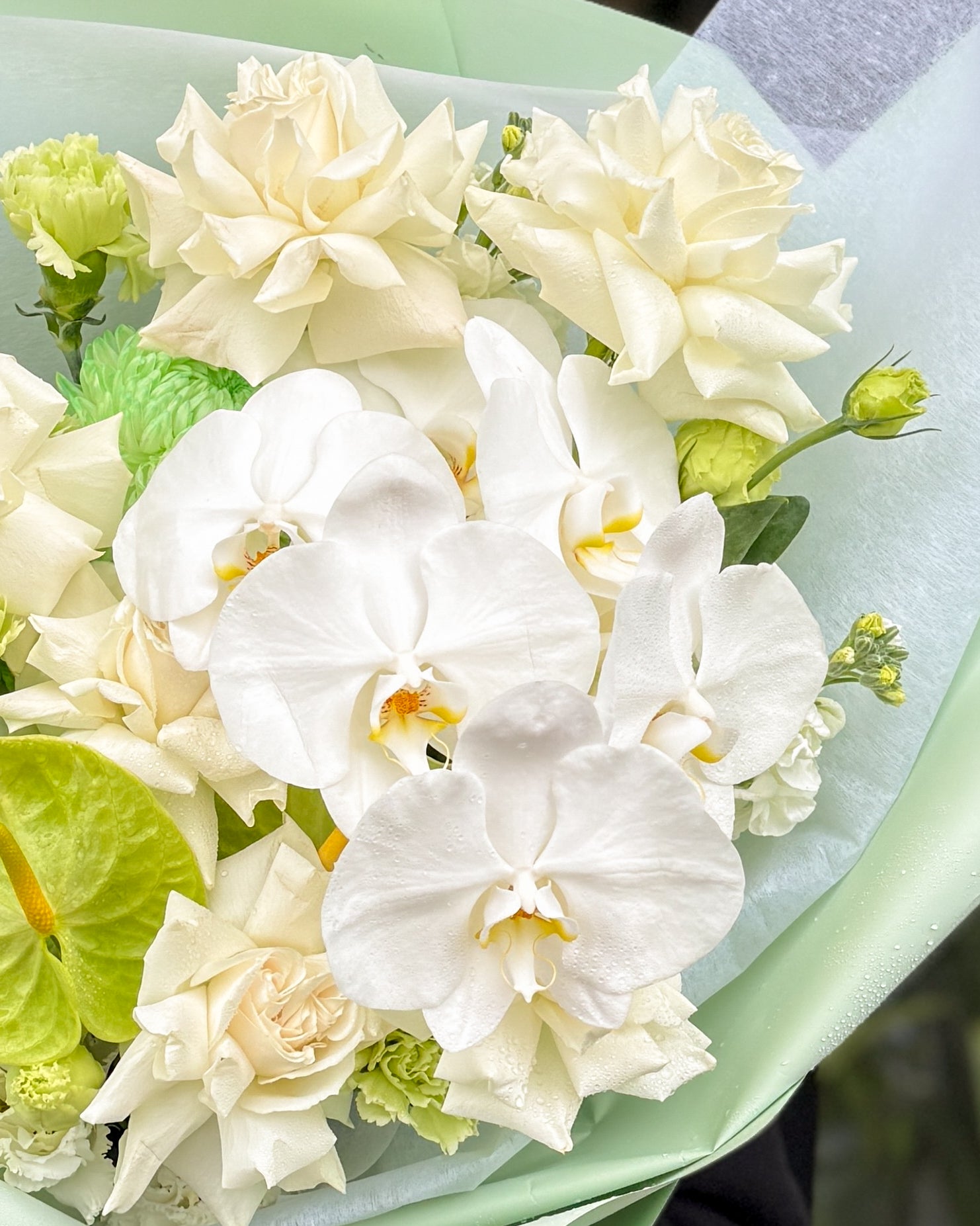 Jade Orchid Serenity