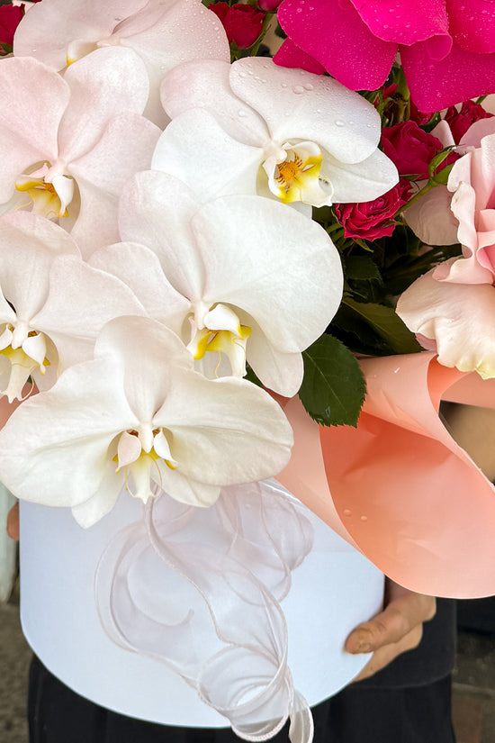 Fuchsia Orchid Elegance