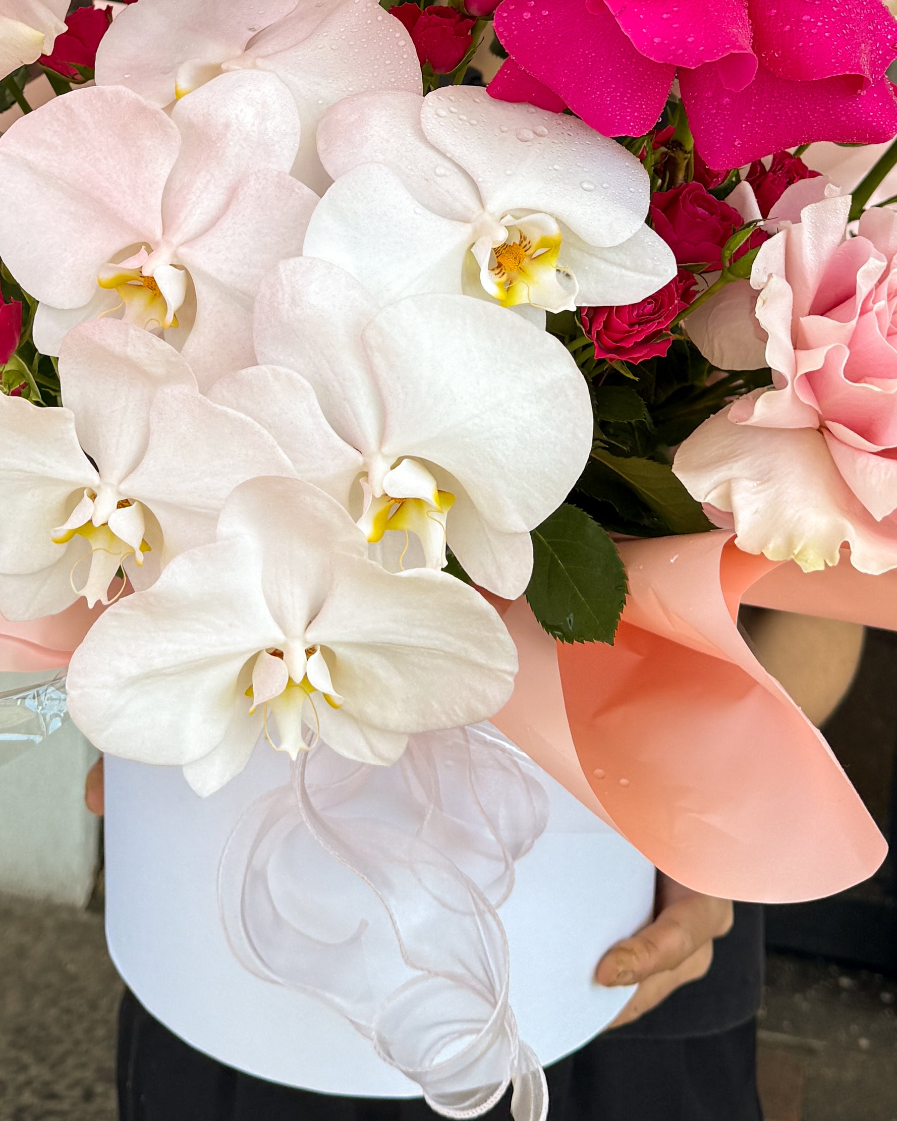 Fuchsia Orchid Elegance