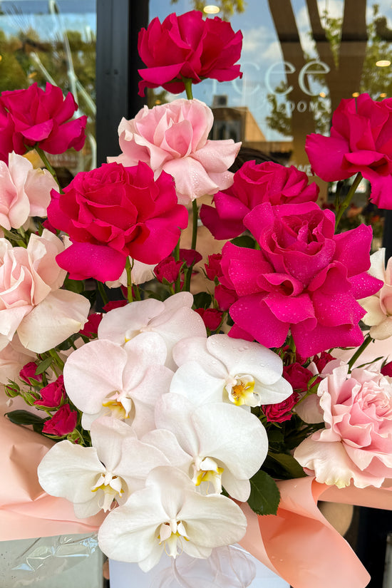 Fuchsia Orchid Elegance